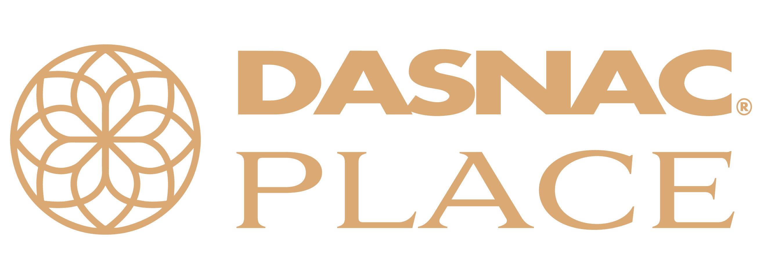 D.P.LOGO